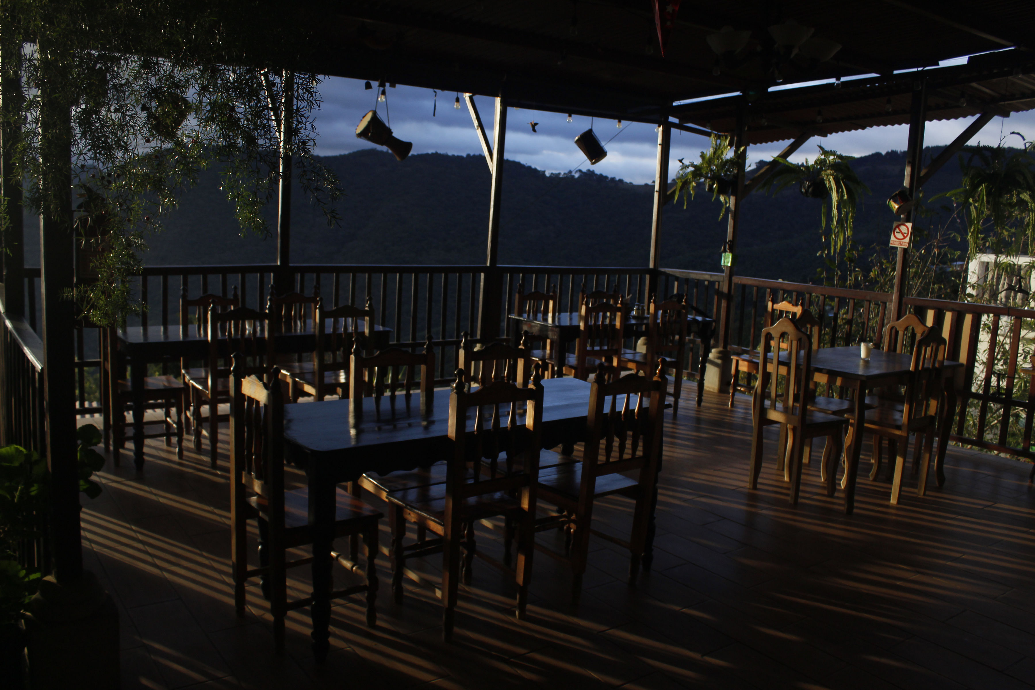 Atracción de Conejos